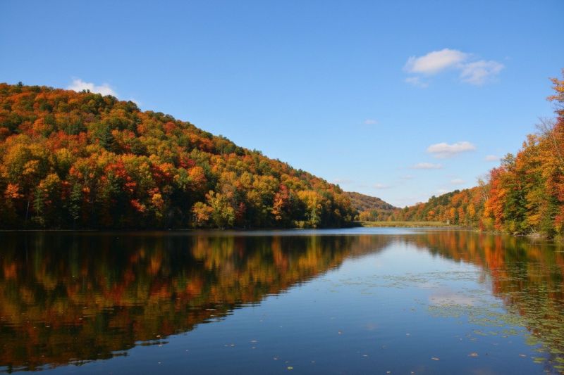 Best Foundation Lifting pros in Appleton, WI